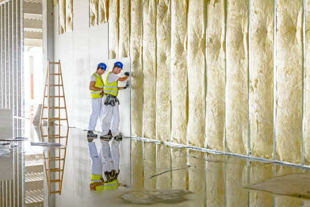 Types of Insulation We Offer in Fort Davis, TX